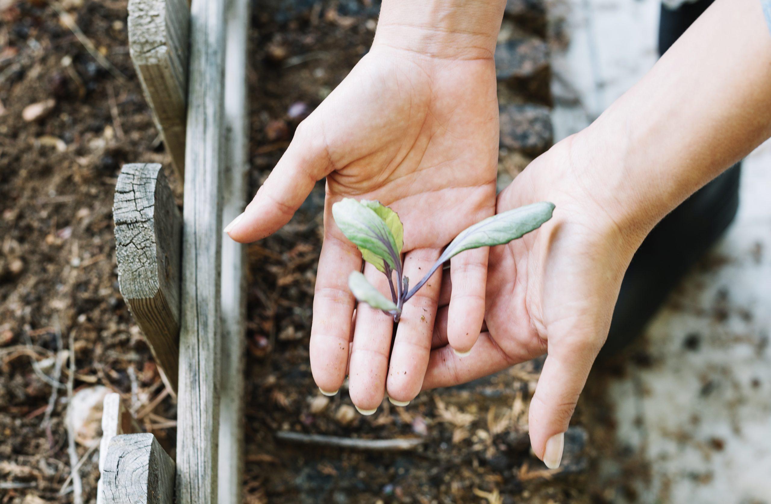 Avoskin x Sebumi Celebrate World Earth Day