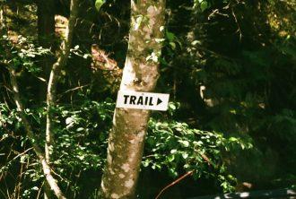 Avoskin Trail Run, Aksi Nyata Avoskin Suarakan Hidup Eco Conscious